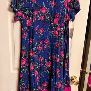 LuLaRoe Blue and Pink Carly Dress